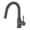 Autograph Edition Dante Pull Down Single Handle Kitchen Faucet In Matte Black