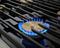 36-inch Dual-fuel Steam Range