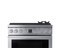 36-inch Dual-fuel Range