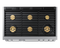 48-inch Gas Range