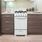 20″ Wide Gas Range