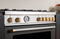 Master Series Dual Fuel Knob Décor Set - 12 Knobs Gold