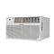 10000 Btu Through-the-wall Ac