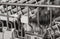24 inch Dishwasher Standard Tub Panel Ready, 15 place settings, 42 dB, 6 wash cycles