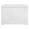 10.0 Cu. Ft. Chest Freezer
