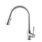 Edison Pull Down Single Handle Kitchen Faucet In Brushed Nickel
