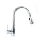 Edison Pull Down Single Handle Kitchen Faucet In Chrome