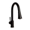 Autograph Edition Edison Pull Down Single Handle Kitchen Faucet In Matte Black