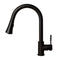Autograph Edition Edison Pull Down Single Handle Kitchen Faucet In Matte Black