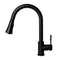 Autograph Edition Edison Pull Down Single Handle Kitchen Faucet In Matte Black