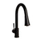 Autograph Edition Edison Pull Down Single Handle Kitchen Faucet In Matte Black