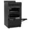 Element 1.9 Cu. Ft. 20” Electric Range - Black (EER204MSCB)