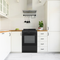Element 2.4 Cu. Ft. 24” Electric Range - Black (EER244MSCB)