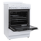 Element 2.4 Cu. Ft. 24” Electric Range - White (EER244MSCW)