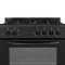 Element 2.4 Cu. Ft. 24” Gas Range - Black (EGR244MCCB)