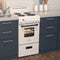 20" Electric Range Oven with Framed Glass Door