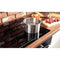 24 Inch Induction Cooktop