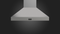 48" PRO CHIMNEY HOOD