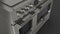 SOFIA 48” PRO INDUCTION RANGE WITH GRIDDLE
