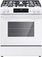 30" Gas Range with Steam Clean