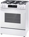 30" Gas Range with Steam Clean