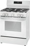 30" Gas Range with Steam Clean