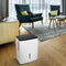22 Pint Dehumidifier (Energy Star Certified)