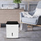 22 Pint Dehumidifier (Energy Star Certified)