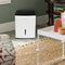 22 Pint Dehumidifier (Energy Star Certified)