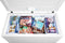 15 Cu. Ft. Garage Ready Chest Freezer