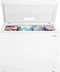 10 Cu. Ft. Garage Ready Chest Freezer