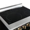 Paolo 30-Inch Freestanding Electric Range, , 4.38 cu.ft, True Convection Oven, Energy Efficient