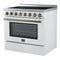 Paolo 36 Inch Freestanding Electric Range, , 5.44 cu.ft, True Convection Oven, Energy Efficient
