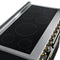 Paolo 48 Inch Freestanding Electric Range in Black with Antique Brass, 6.7 cu.ft, True Convection Oven, Energy Efficient