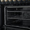 Paolo 48 Inch Freestanding Electric Range in Black with Antique Brass, 6.7 cu.ft, True Convection Oven, Energy Efficient