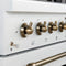 Antico 36-inch Dual Fuel Range and Antique Brass Design with 6 Sealed Gas Burners and Electric Convection Oven