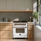 Massimo 30-Inch Freestanding Dual Fuel Range in with Antique Brass Accessories, 4 Burners, 4.32 cu. ft. Convection Oven