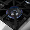 Massimo 36-Inch Freestanding Dual Fuel Range, 6 Burners, Double Convection Ovens