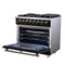 Massimo 36 Inch Freestanding Dual Fuel Range in with Antique Brass Accessories, 6 Burners, 5.36 cu. ft. Convection Oven