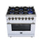Massimo 36 Inch Freestanding Dual Fuel Range in with Antique Brass Accessories, 6 Burners, 5.36 cu. ft. Convection Oven
