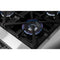 Massimo 48-Inch Freestanding Dual Fuel Range, 8 Burners, Double Convection Ovens