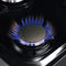 Massimo 48-Inch Freestanding Dual Fuel Range, 8 Burners, Double Convection Ovens