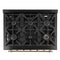 Antico 36-Inch Freestanding Gas Range, , Antique Brass Design, 6 Burners, Convection Oven, Energy Efficient