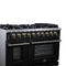 Massimo 48-Inch Freestanding Gas Range, 8 Burners, True Convection Oven