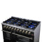 Massimo 48-Inch Freestanding Gas Range, 8 Burners, True Convection Oven