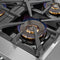 Capriasca 36-Inch Gas Range, , 6 Brass Burners, 120,000 BTU, Convection Oven, Energy Efficient