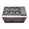 Capriasca 48-inch Gas Range , 8 Brass Burners 160,000 BTU, 6.58 cu.ft. Double Oven, Doors