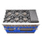 Capriasca 48-inch Gas Range , 8 Brass Burners 160,000 BTU, 6.58 cu.ft. Double Oven, Doors