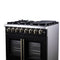Capriasca 36 Inch Freestanding French Door Dual Fuel Range in with Antique Brass Accessories, 6 Burners, True Convection Oven