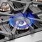 Capriasca 48-Inch Freestanding French Door Dual Fuel Range, 8 Burners, True Convection Oven